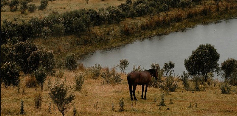 Dhyanganga Wildlife Sanctuary, Buldhana, Maharashtra - Vushii.com